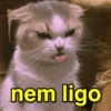 nem ligo