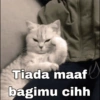 Kucing sigma trend 15
