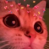 REAÇÕES DE AMOR 6