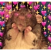 💕💕 EXPLOSIÓN DE AMOR 💕💕 11