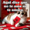 🧿 Anima tu chat😂😋 22