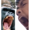 BIG MATCH GODZILA VS KANGKUNG