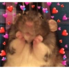 REAÇÕES DE AMOR 14