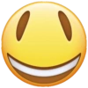 Funny Emoji iPhone 📱 6