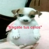 😎 STICKERS SHITPOST 15 🤙 8