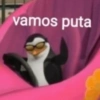 vamos puta