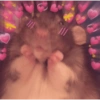 💕💕 EXPLOSIÓN DE AMOR 💕💕 12