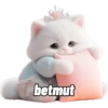 Meme Kucing Princess 👸🏻 8
