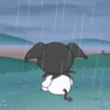 Kuromiii 11