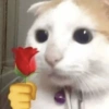 ㅍ