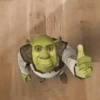 Memes Shrek 💚 6