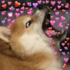💕💕 EXPLOSIÓN DE AMOR 💕💕 9