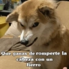 Que ganas de romperte la cabeza con un fierro
