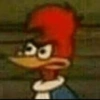 PICAPAU 11