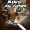 Kucing Anomali 2 6