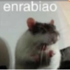 Que risota 5