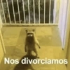 😎 STICKERS SHITPOST 15 🤙 7