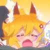 Senko 13