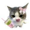 Cat meme makanan 🐈 5