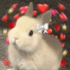 Bichinhos Fofos Cute 💕 8