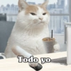 🧿 Para tu chat usalos😎😋 28
