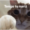 Mood Random! 20