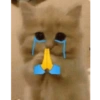 Gatitos llorones🥺😿 12