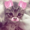 🎀🐱 Los gatitos 🐱🎀 6