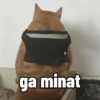 Cukurukuk Bakekok Meme 9
