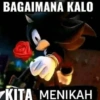 Apani 10