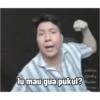 Windah habatusauda  19