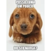 E o narga? 11