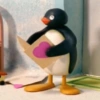 Pingu. | @ocenferios  Haki. 5