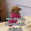 aqui jogada, abandonada, solitária
