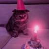 Feliz Aniversário 🎉 17