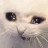 Tô triste demais 😓 13