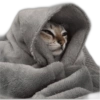 Memes frio 🥶 7