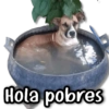 Hola pobres