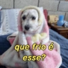 Reações frio 🥶 9