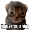 Vale verga la vida