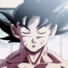 Goku  14