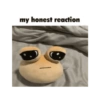 my honest reaction