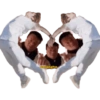 Kpop meme 16