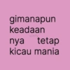 gimanapun keadaan vinfy nya tetap kicau mania