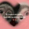 Cantadas duvidosas 😂 5