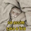 Memes frio 🥶 12