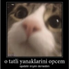 @borekpp o tatli yanaklarini opcem opebilir miyim demedim