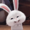 This is Snowball❄️🐰✨ 9
