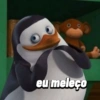 Pinguins de Madagascar meme 21