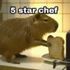 5 star chef